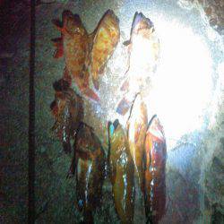 人生初フィッシュげっとん、豆まきして福は内の巻